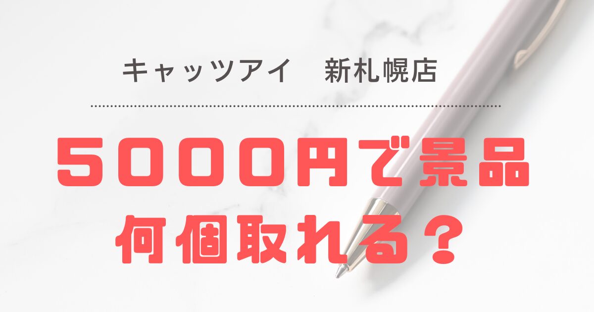 【キャッツアイ新札幌店】クレーンゲームの設定は？１人５０００円で何個取れるか検証してみた結果